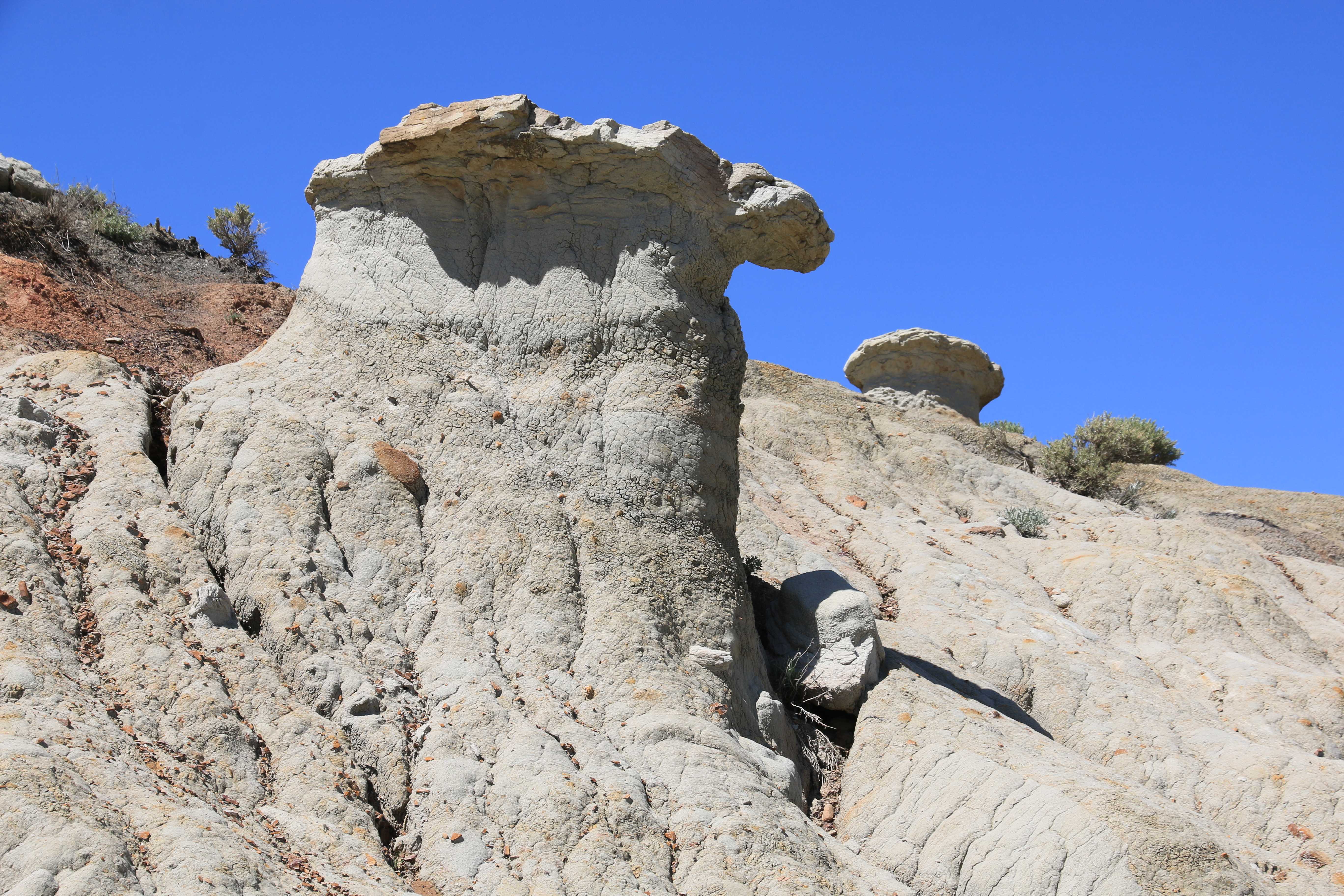 Theodore Roosevelt NP